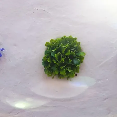 Belem! Charming 2 Bedroom W Terrace, Wifi & Free Street Parking *