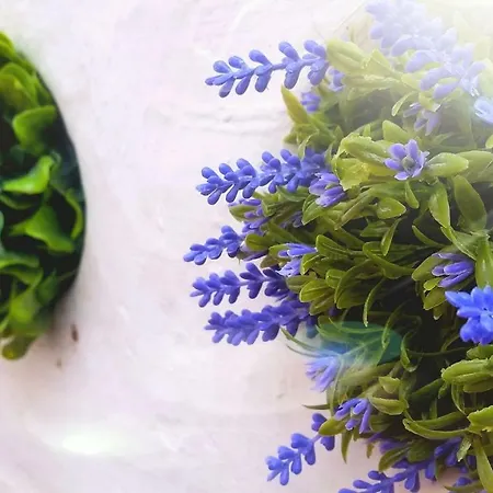 شقة Belem! Charming 2 Bedroom W Terrace, Wifi & Free Street Parking *